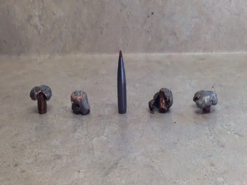 Recovered Bullets from an African Hunt